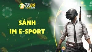 IM E-Sport IM E-Sport