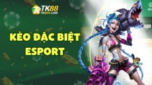 Kèo đặc biệt Esport Kèo đặc biệt Esport