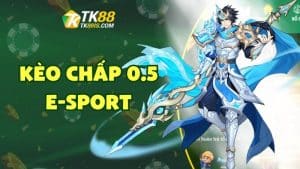 Kèo chấp 0.5 e-sport Kèo chấp 0.5 e-sport