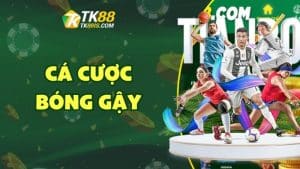 Cá cược bóng gậy Cá cược bóng gậy