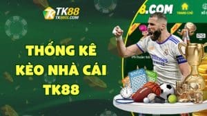 Thống kê kèo nhà cái TK88 Thống kê kèo nhà cái TK88