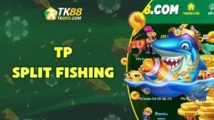 TP Split Fishing TP Split Fishing