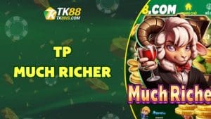 TP Much Richer TP Much Richer